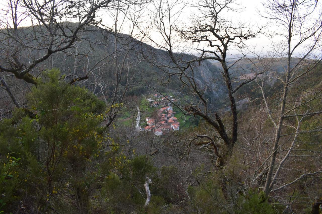 Casa Do Neveiro Otel Góis Dış mekan fotoğraf
